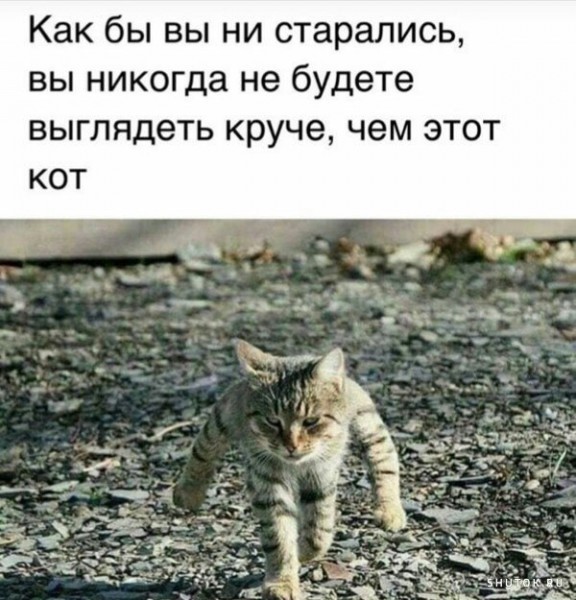 Так себе картинки 29.04.22