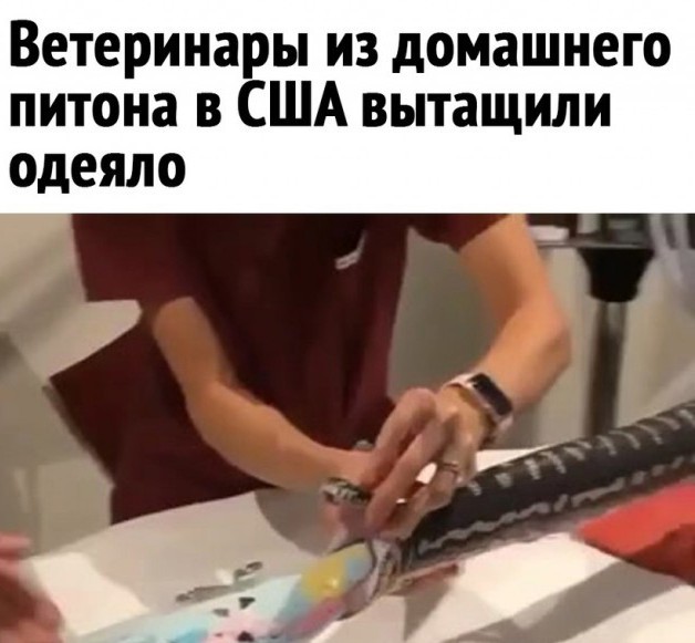 Чуток картинок 26.07.22