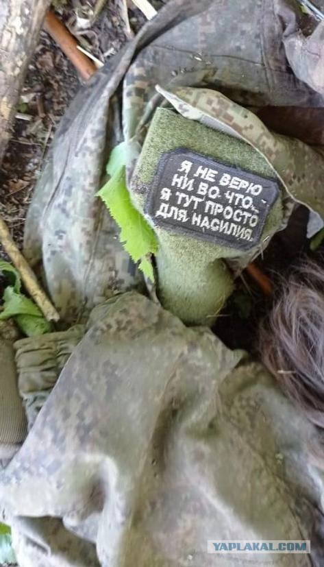 В ООН заявили о совершенных ВСУ военных преступлениях против пленных россиян.