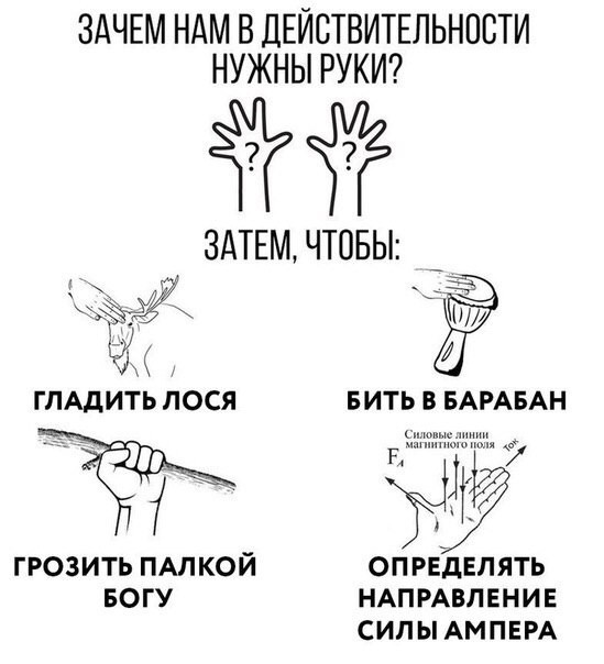 Народная меДИЧина 5024