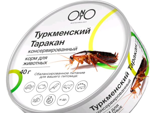 Юный кулинар приготовил себе завтрак