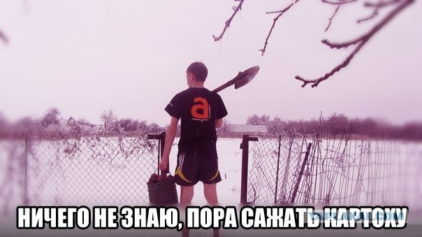 Ничего не знаю!