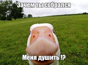 Гоша и девочка