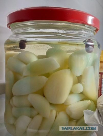 Кулинарная общалка