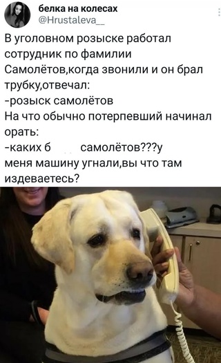 Картинки и мемы, всяко разно - 171