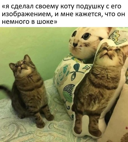 Картинки и мемы, всяко разно - 179