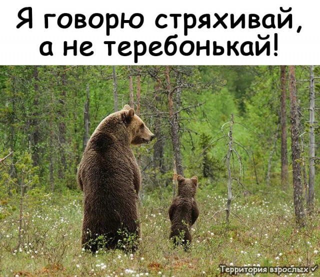 Пятая подборка самых баянистых баянов! Ностальгируем...