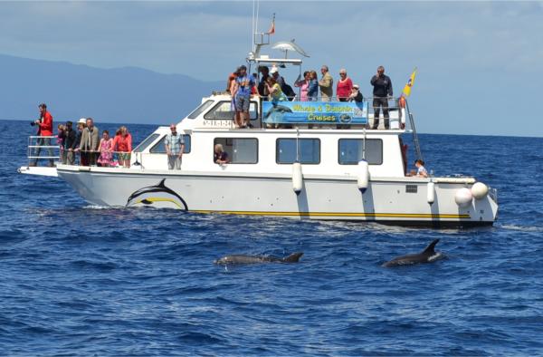 Хочу дачу на канарах!