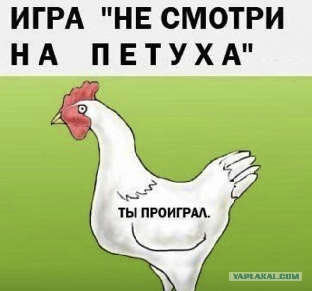 Шойгу, Герасимов, где баяны?