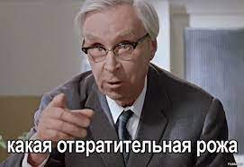 ЦИК отказал в регистрации на выборах блогеру Раде Русских