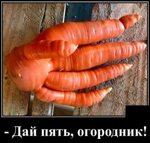 55 демотиваторов опять