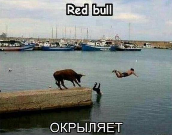 Завалялось тут случайно немного забавных картинок