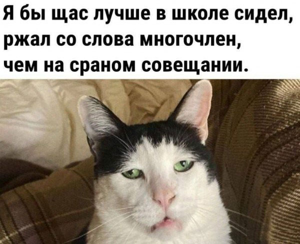 Кому и четверг - пятница