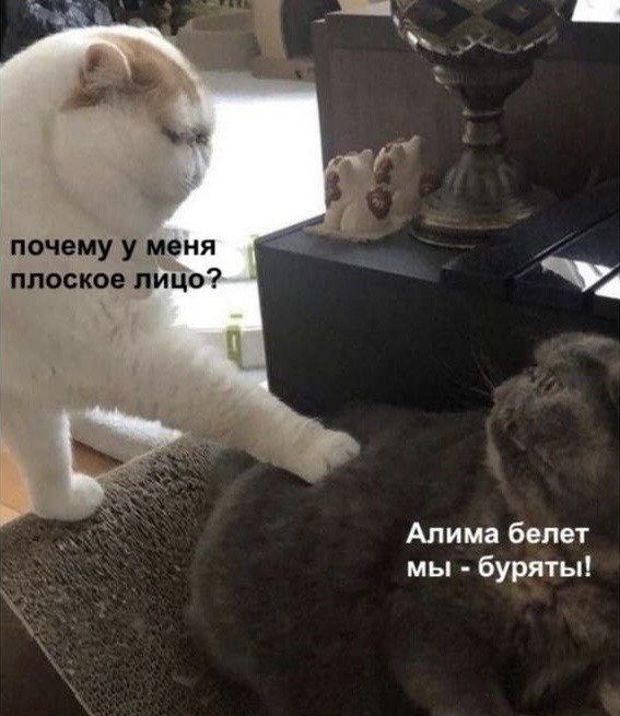 Как вам якутская реклама, друзья?