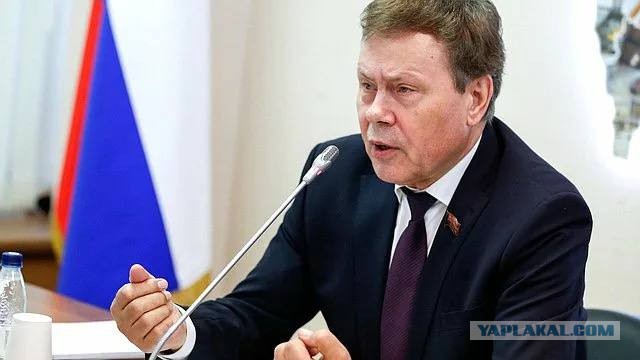 В Госдуме задумались об упразднении самозанятости