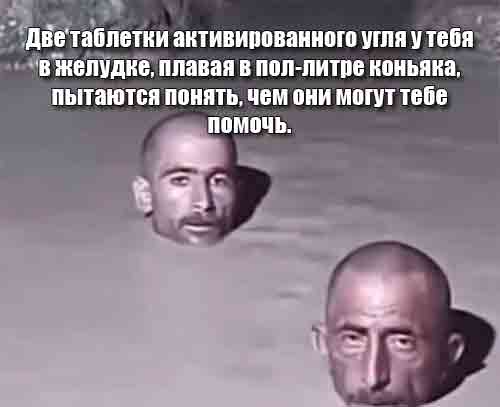 Картинки для деградации 81 (разной степени свежести)