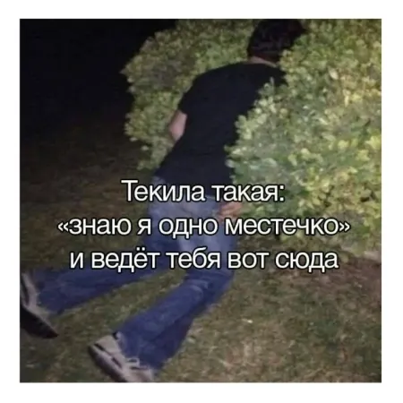 Так себе картинки 18.03.26