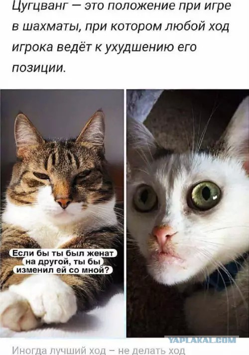 Картиночки, баянчики 13 апреля