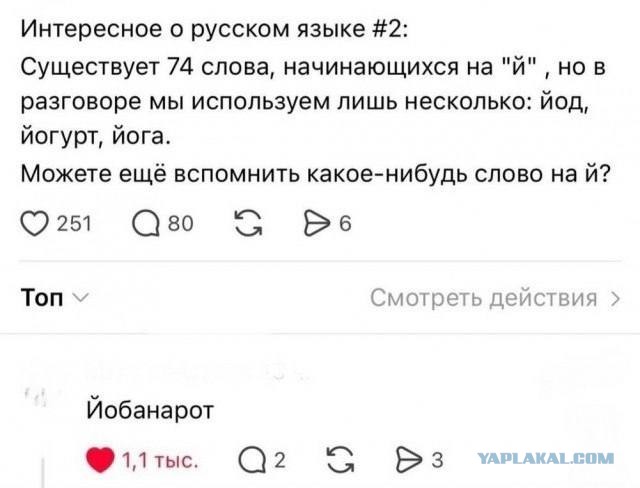 Веселые картинки в понедельник (25.05)
