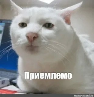 Россияне должны получать купленные дома и квартиры вовремя, — Путин