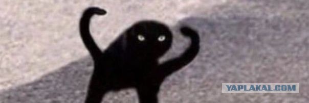 *БАЯН*Ацкий сотона