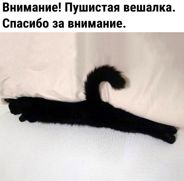 Картинки на среду