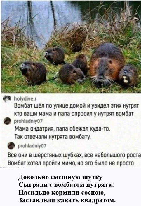 Картинки для деградации 293 (разной степени свежести)