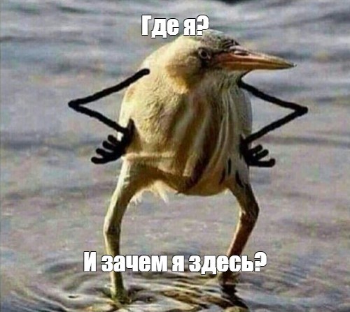 Какой вопрос вы задаёте сами себе как проснулись?