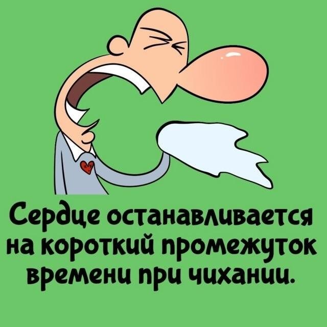 Интересные и короткие факты,на все случаи жизни 23.10.26