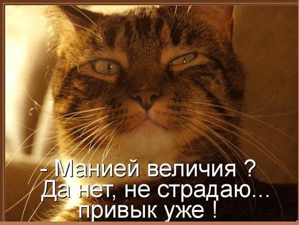 Учитесь делать визитки, джентельмены!
