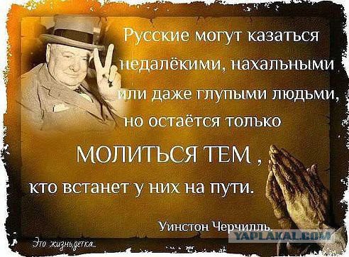 Телефонный разговор Тимошенко и Шуфрича