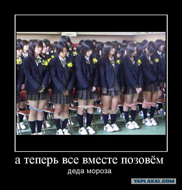 Война, мир и Таманский лес
