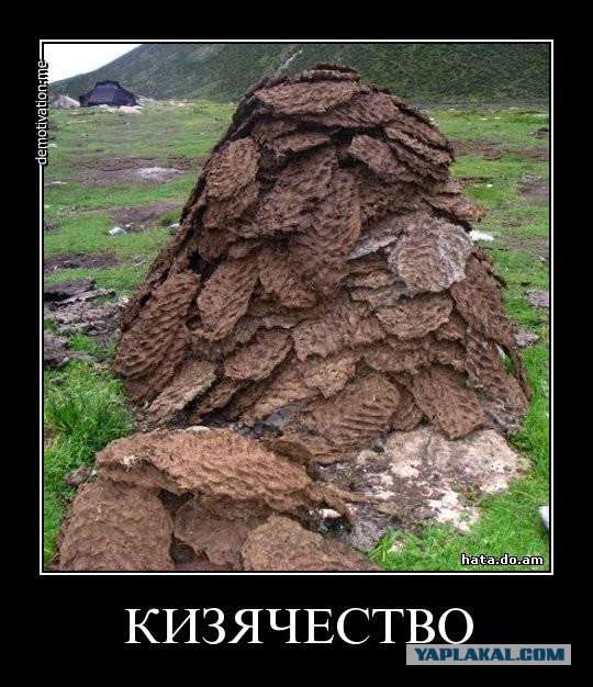 Вот это встреча!