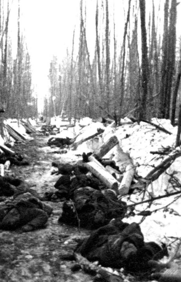 1941 год. Боль и мужество. Фото.