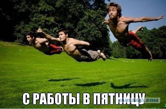 Весёлое из сети