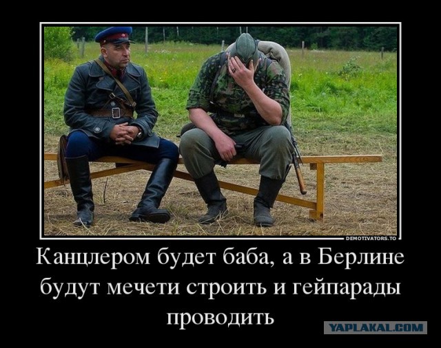 Правительство ФРГ встревоженно, граждане в панике