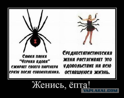 Современная женщина. Когда открываются глаза