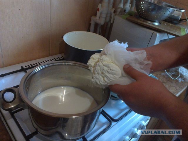 Как зарукожопить домашний сыр