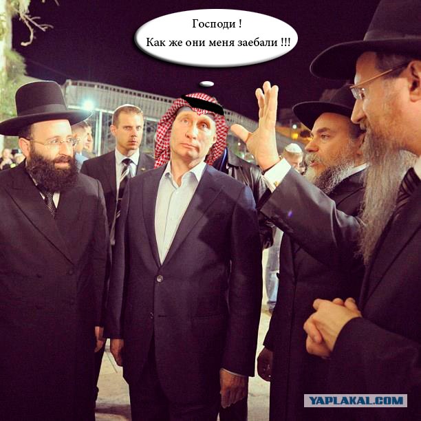 Свой среди своих