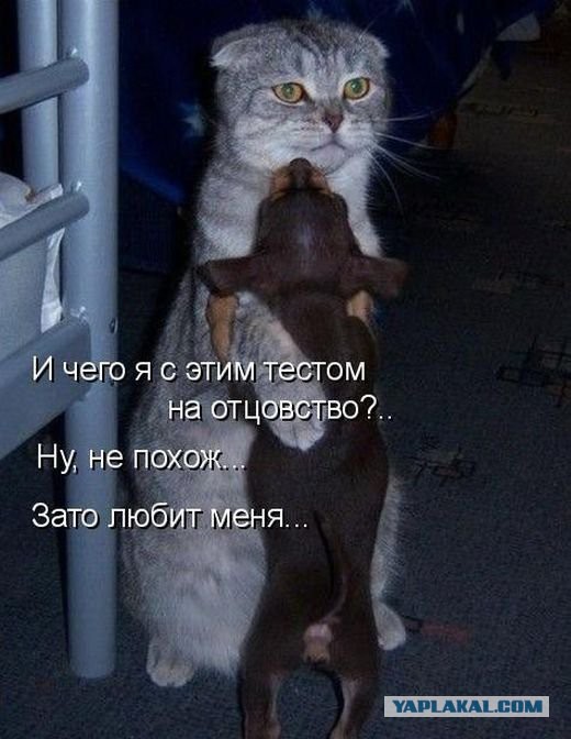 Всех с любимым четвергом! Бабаки-Барабаки!