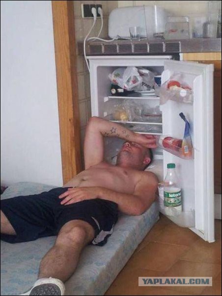 Алкопост.