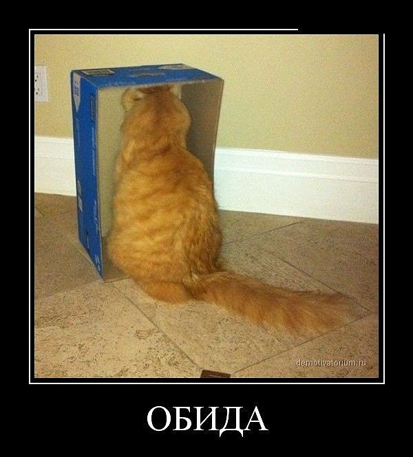 Картинки из инета
