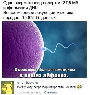Ужасы и приколы из соцсетей 18+