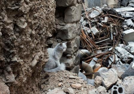 Сирия в огне