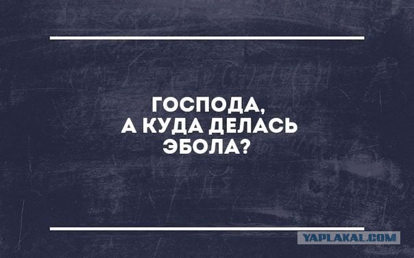 Картинки из сети