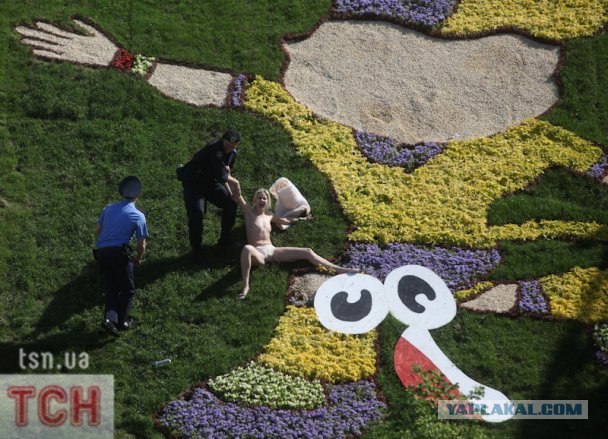 Femen пристроили талисманам Евро-2012 гениталии