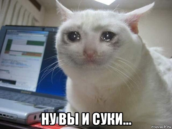 Доброе утро всем ЯПовчанам и Яповчанкам..