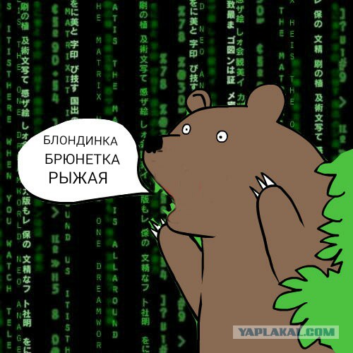 Мой друг написал код
