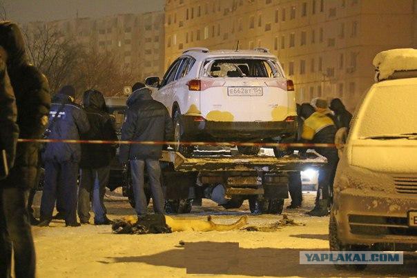 В Новосибирске погибла депутат областного ЗС