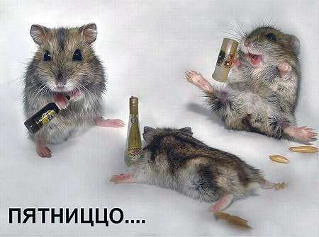 Картинки на пятницу